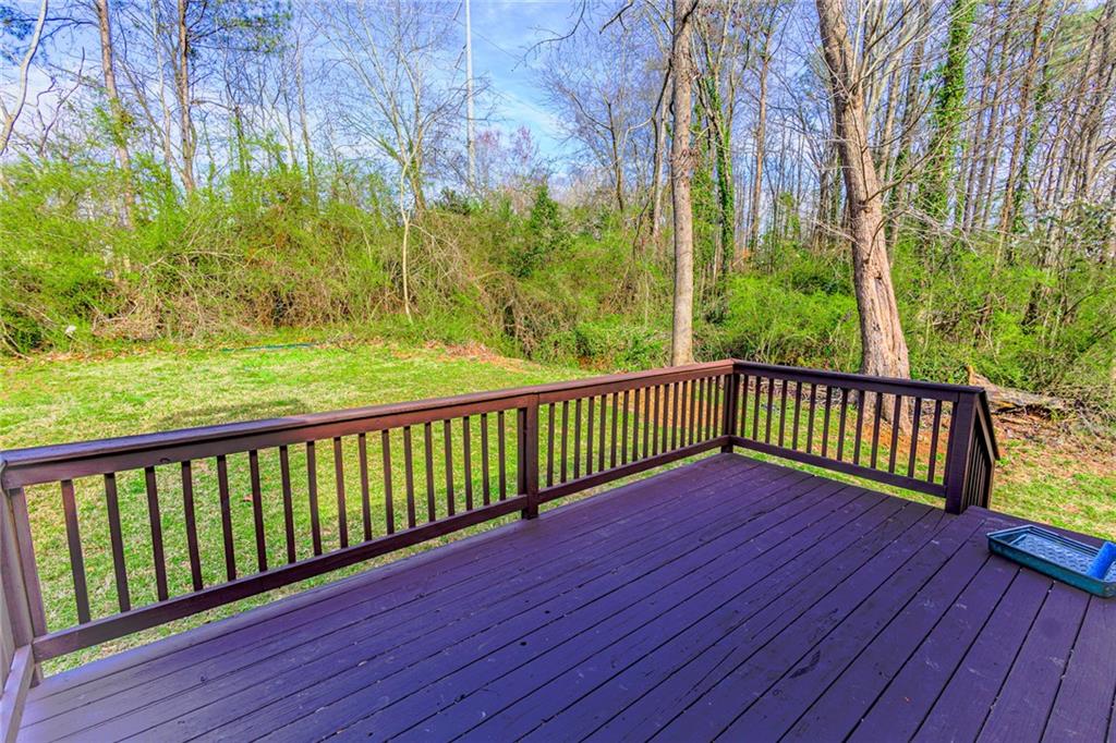 2904 Pleasant Ridge Drive, Decatur, Georgia image 23