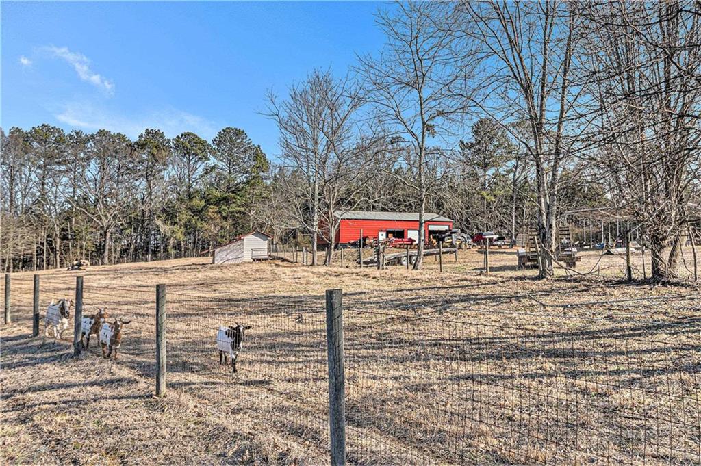 898 Harrison Mill Road, Bethlehem, Georgia image 21