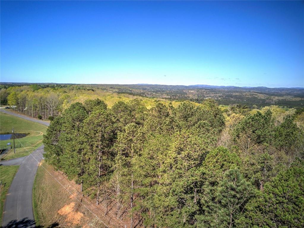 Mckibben Road, Buchanan, Georgia image 19