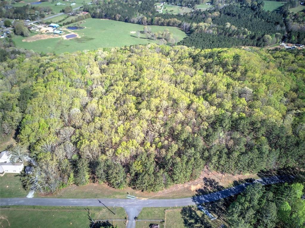 Mckibben Road, Buchanan, Georgia image 12