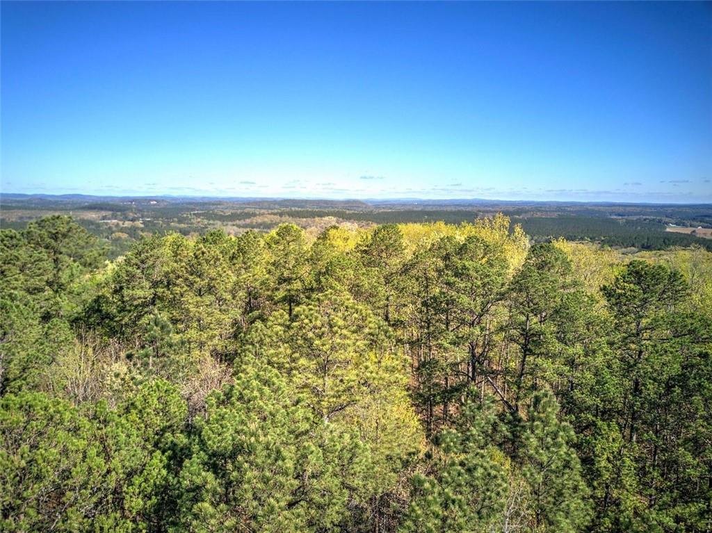 Mckibben Road, Buchanan, Georgia image 18