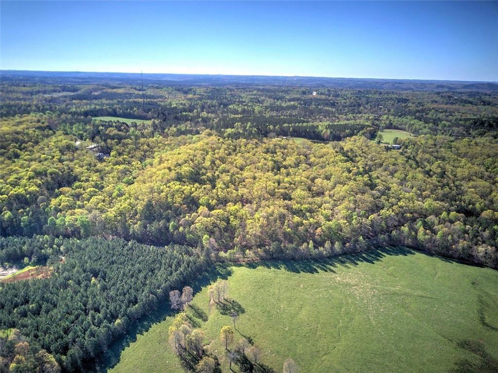 Mckibben Road, Buchanan, Georgia image 15