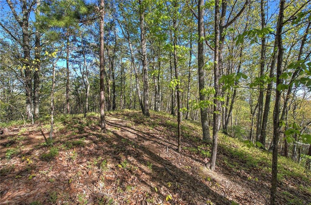 Mckibben Road, Buchanan, Georgia image 6