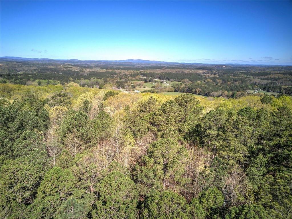 Mckibben Road, Buchanan, Georgia image 16