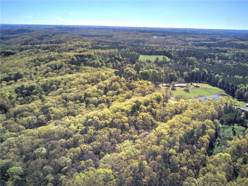 Mckibben Road, Buchanan, Georgia image 27
