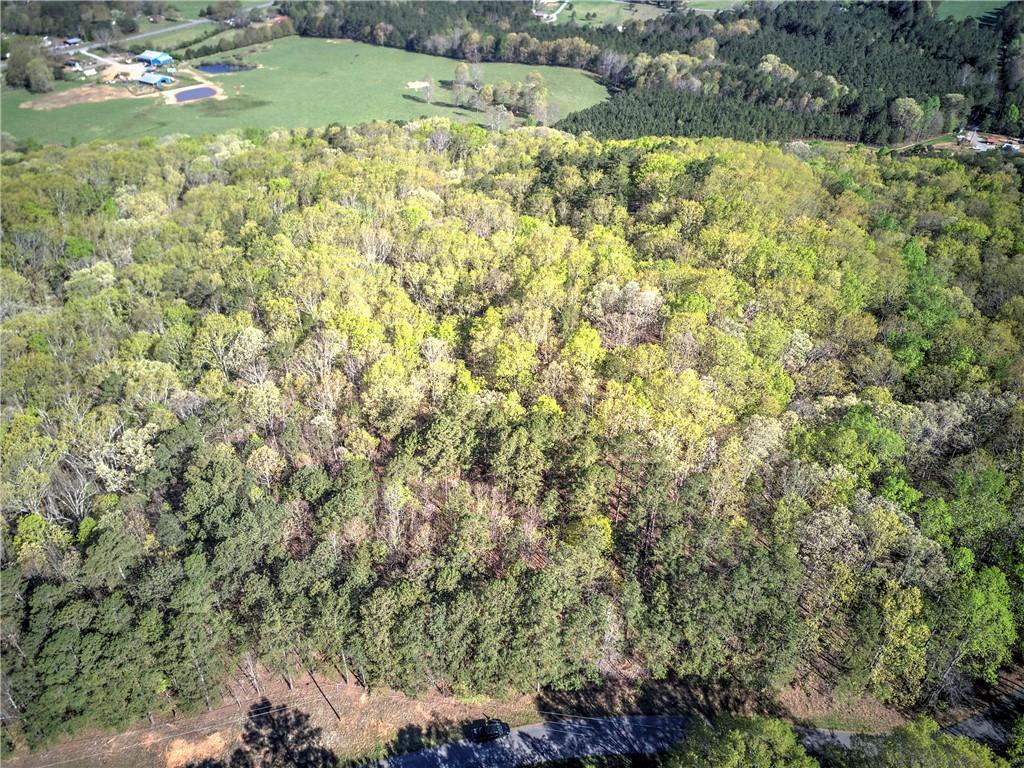 Mckibben Road, Buchanan, Georgia image 29
