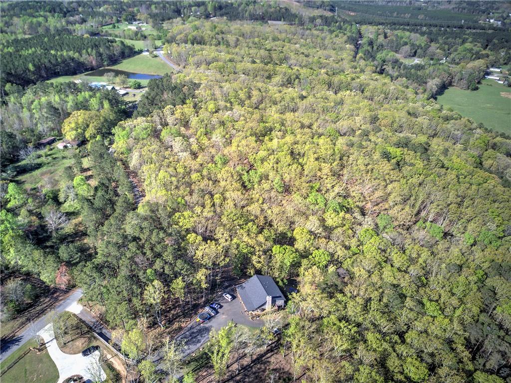 Mckibben Road, Buchanan, Georgia image 28