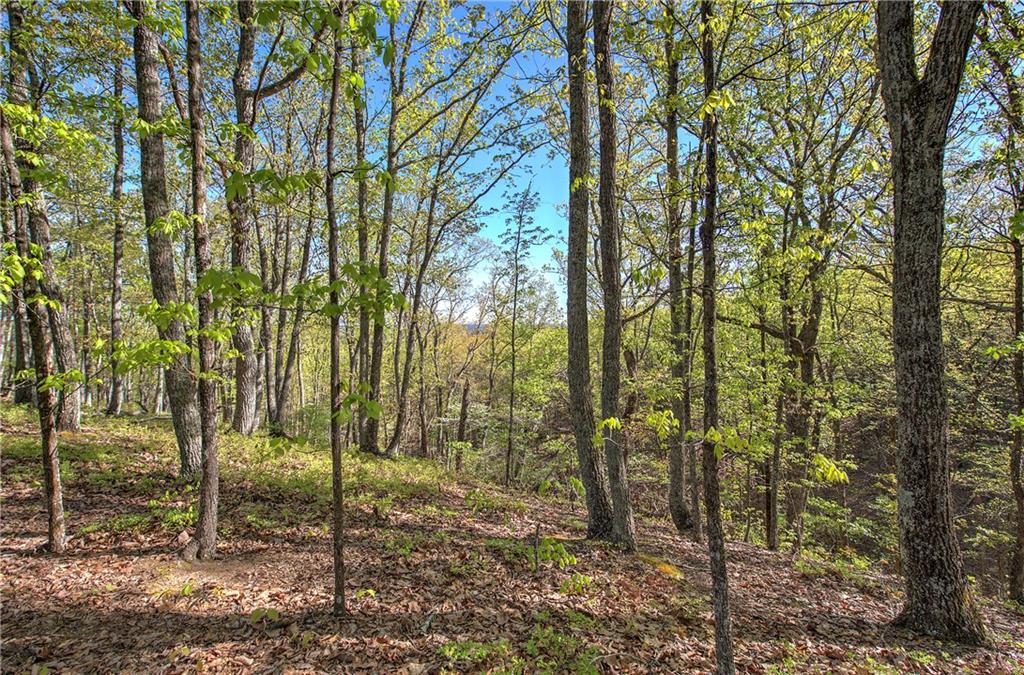 Mckibben Road, Buchanan, Georgia image 25