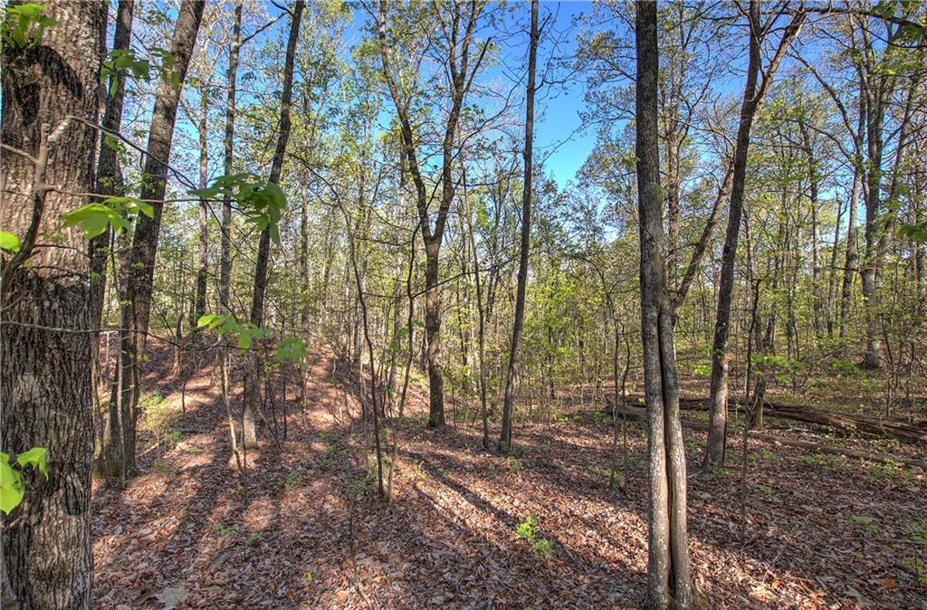 Mckibben Road, Buchanan, Georgia image 21
