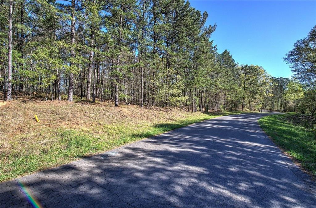 Mckibben Road, Buchanan, Georgia image 3