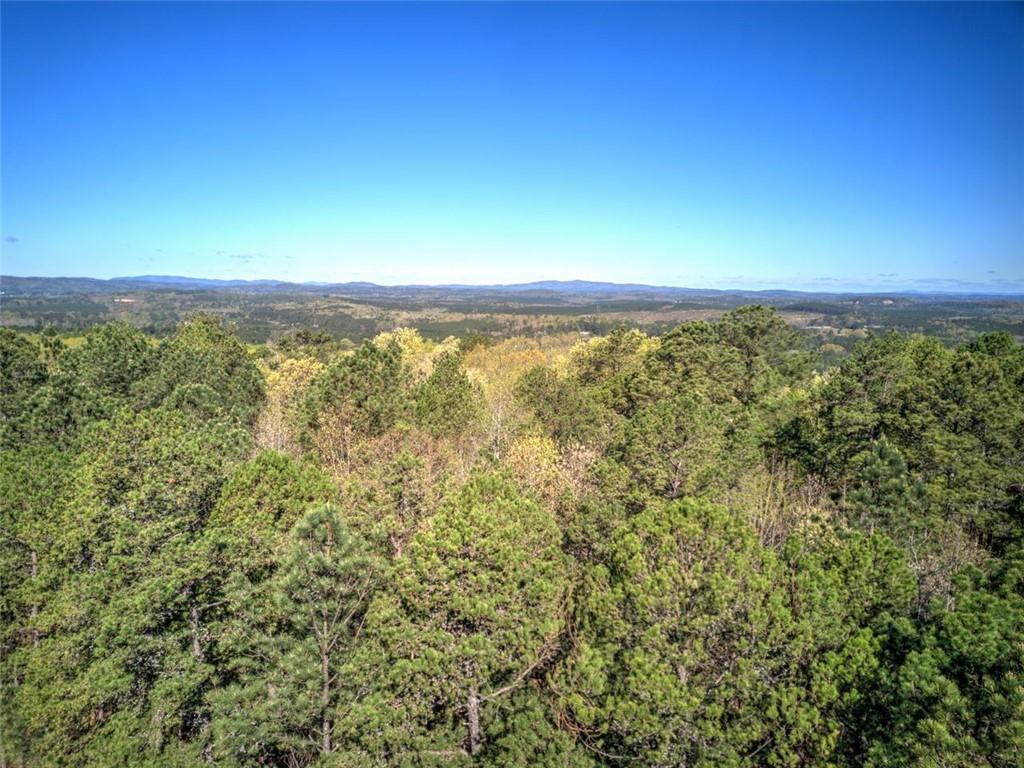 Mckibben Road, Buchanan, Georgia image 17