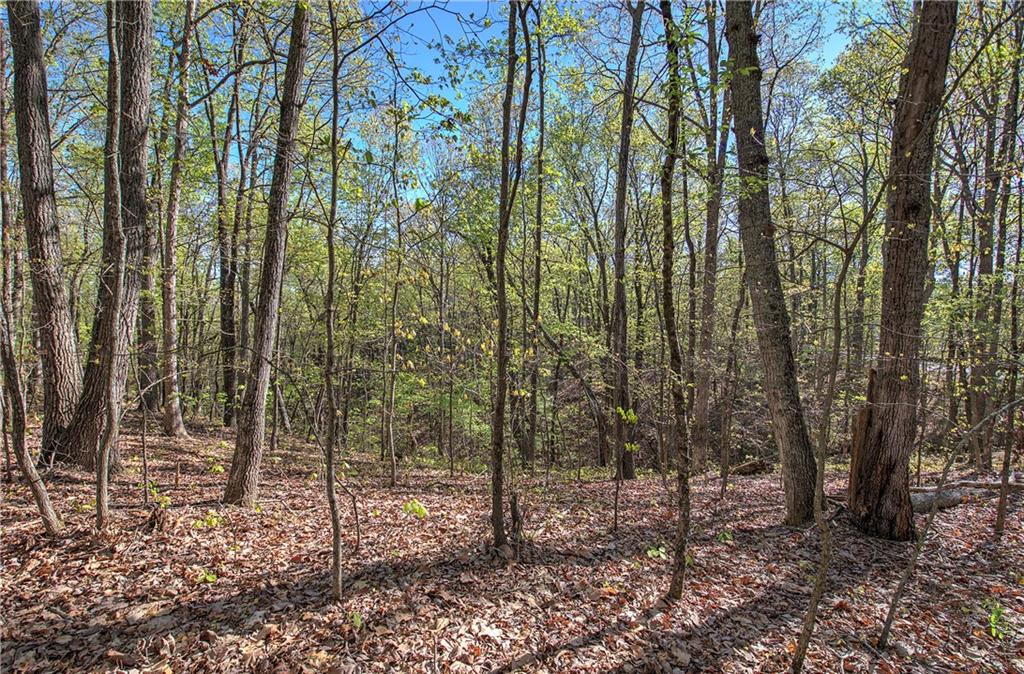 Mckibben Road, Buchanan, Georgia image 24