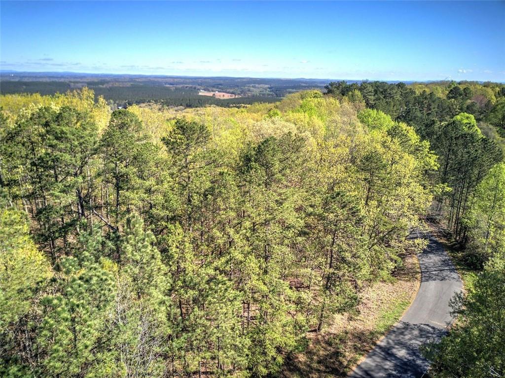Mckibben Road, Buchanan, Georgia image 20