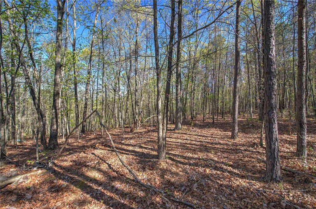 Mckibben Road, Buchanan, Georgia image 11