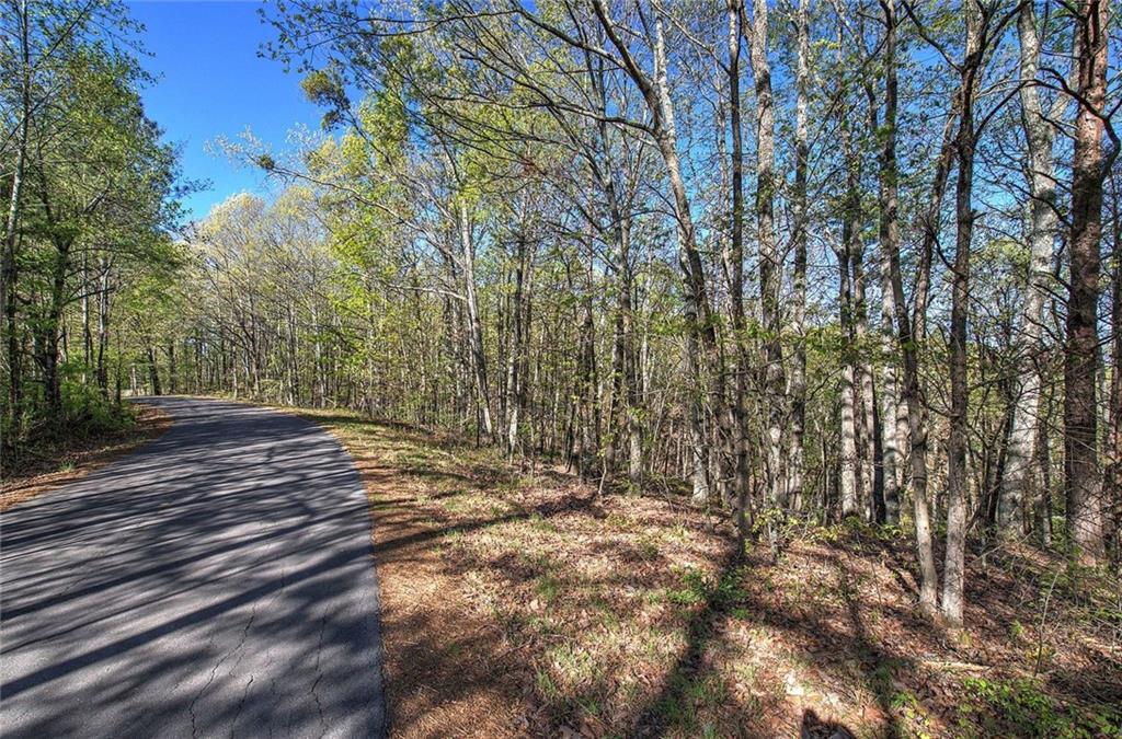 Mckibben Road, Buchanan, Georgia image 4