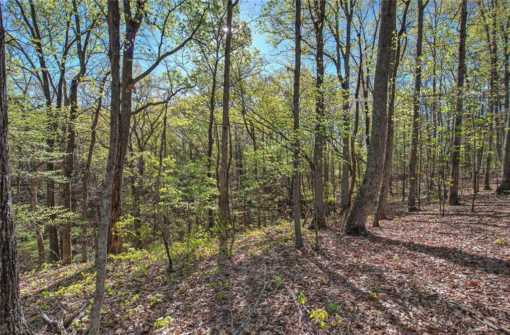 Mckibben Road, Buchanan, Georgia image 8