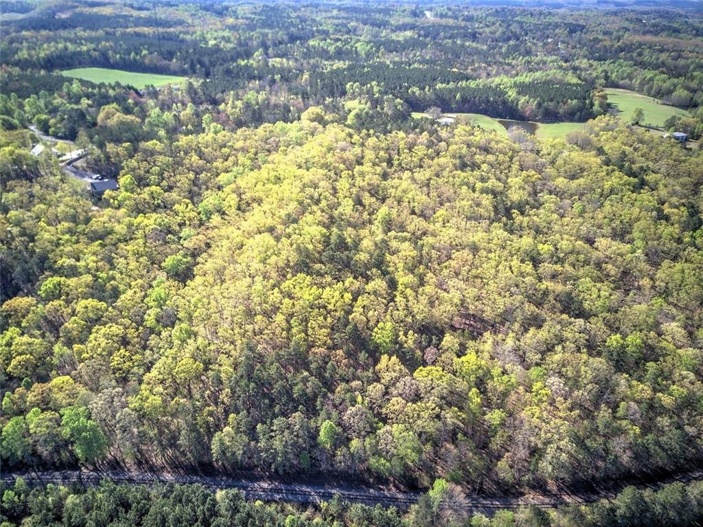 Mckibben Road, Buchanan, Georgia image 14