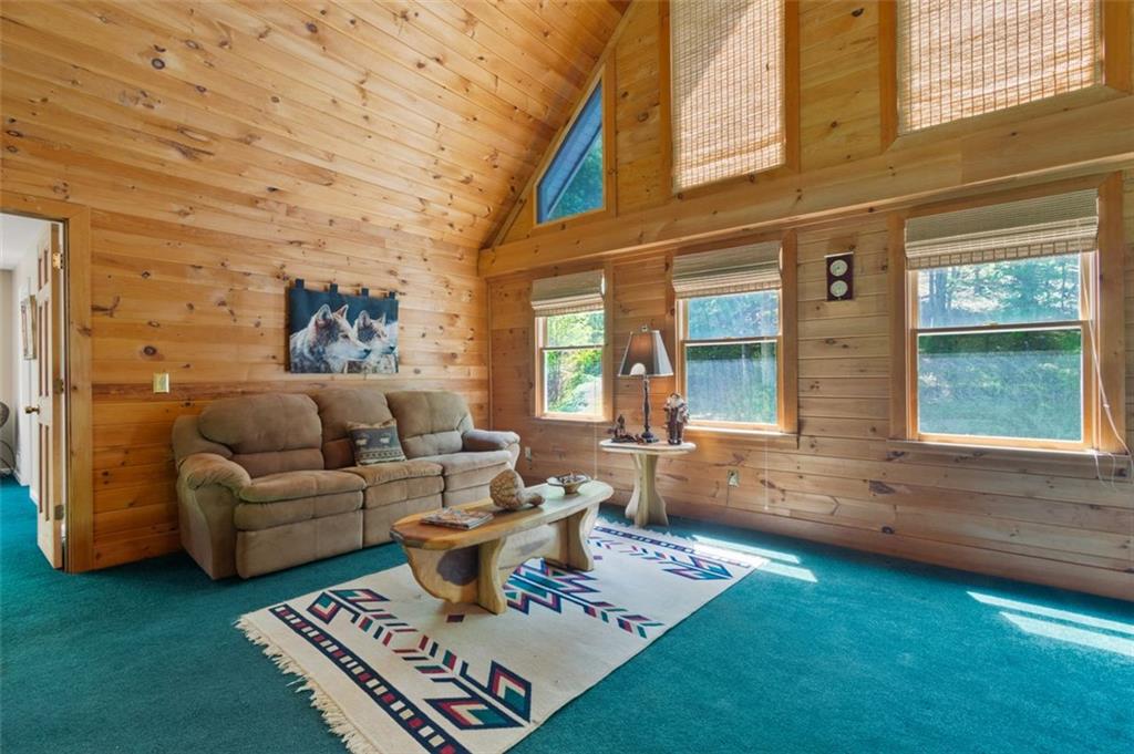 122 Gold View Drive, Dahlonega, Georgia image 36