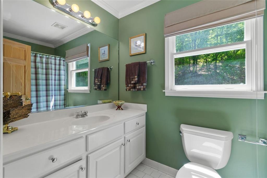 122 Gold View Drive, Dahlonega, Georgia image 39