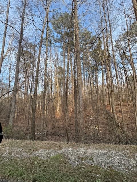 00 Cascade Palmetto Highway