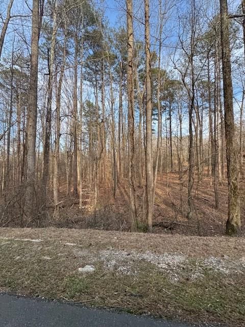 Vacant Land For Sale - 00 Cascade Palmetto Highway<br/> Fairburn, GA 30213