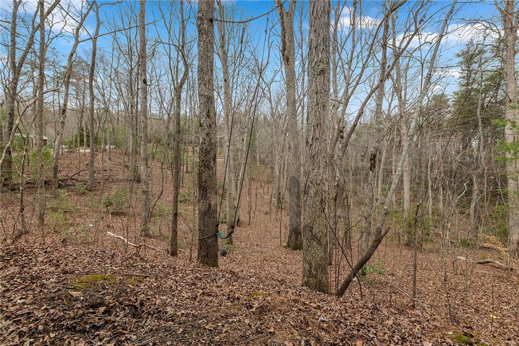 106 Underlook Road, Blue Ridge, Georgia image 48