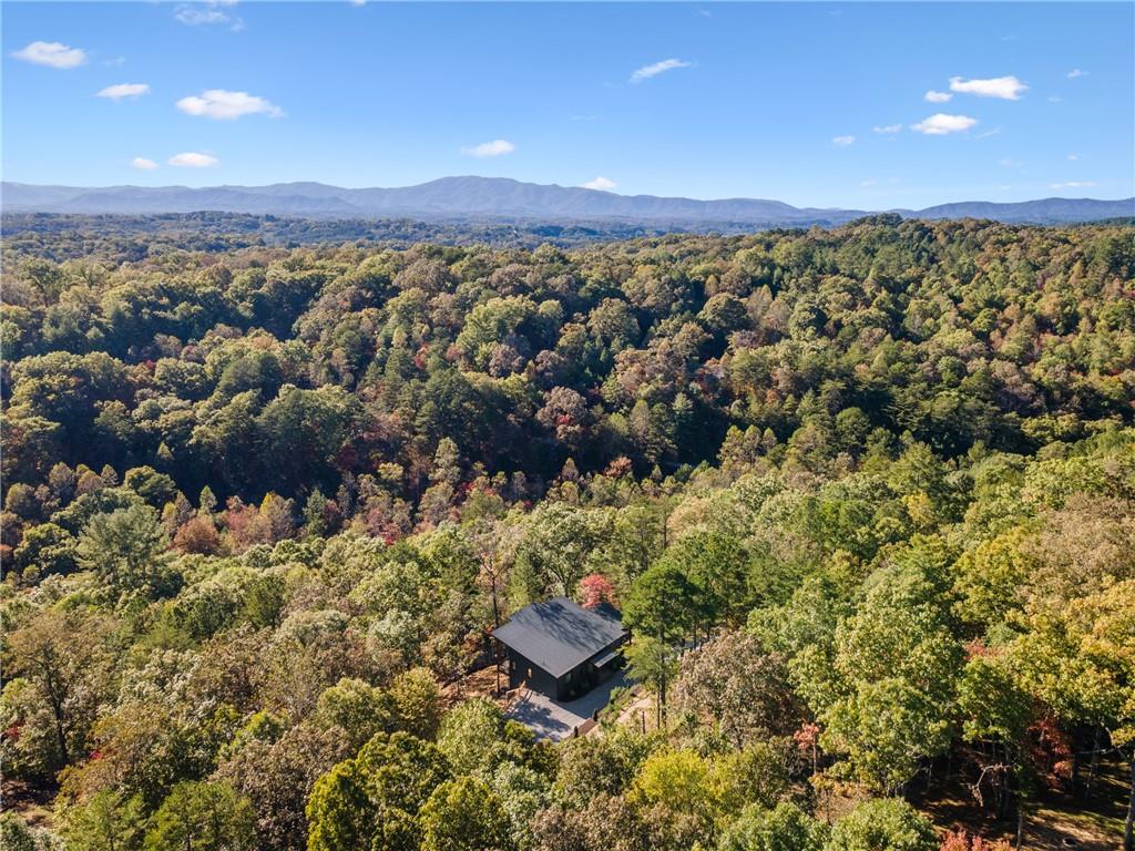 65 Wolf Creek Heights