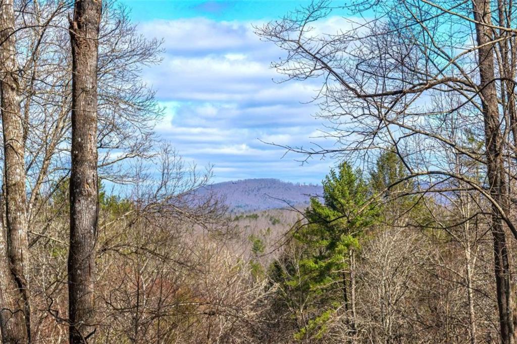 LOT 43 Dusty Danno Trail, Mineral Bluff, Georgia image 31