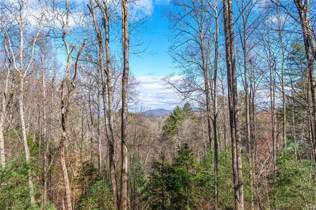 LOT 43 Dusty Danno Trail, Mineral Bluff, Georgia image 32