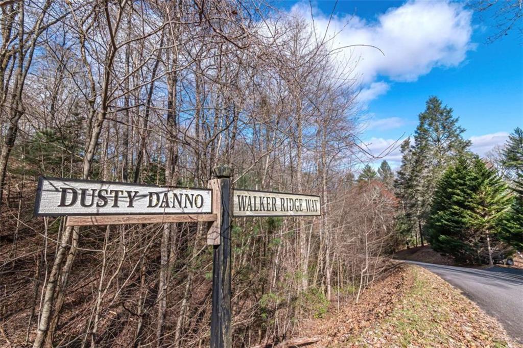 LOT 43 Dusty Danno Trail, Mineral Bluff, Georgia image 13