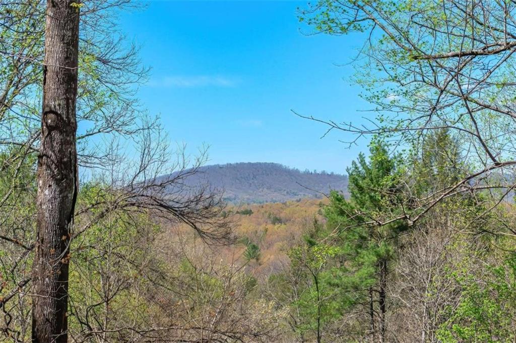 LOT 43 Dusty Danno Trail, Mineral Bluff, Georgia image 40