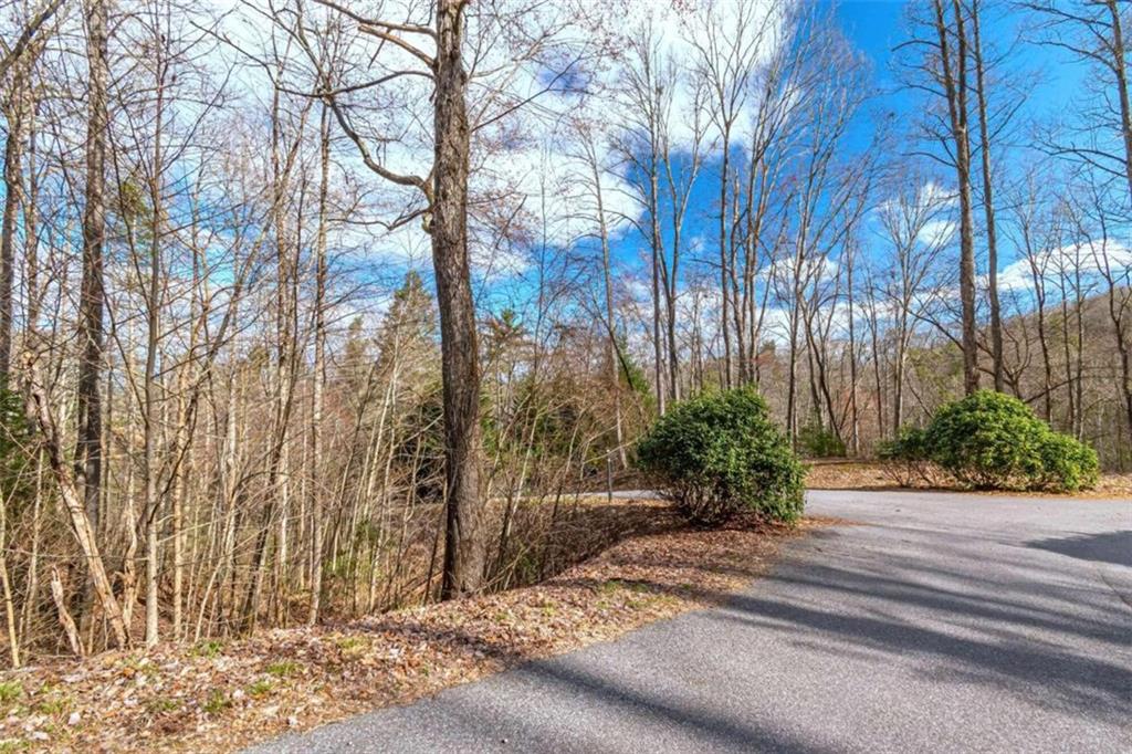 LOT 43 Dusty Danno Trail, Mineral Bluff, Georgia image 3