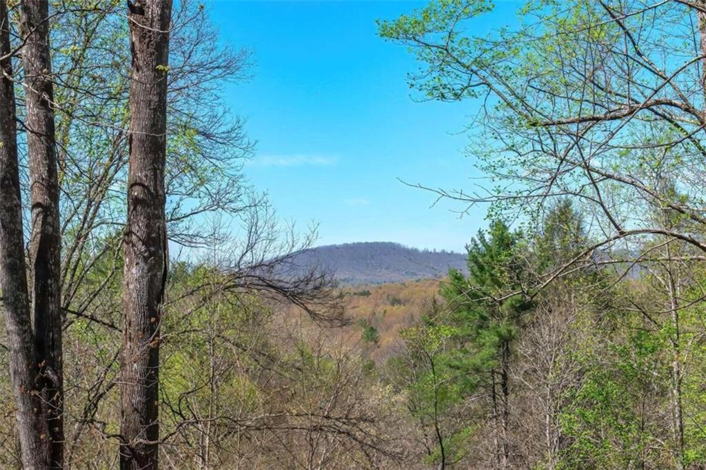 LOT 43 Dusty Danno Trail, Mineral Bluff, Georgia image 30