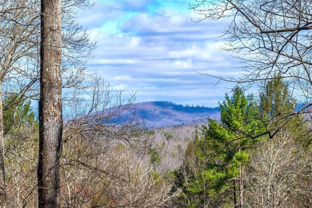 LOT 43 Dusty Danno Trail, Mineral Bluff, Georgia image 36