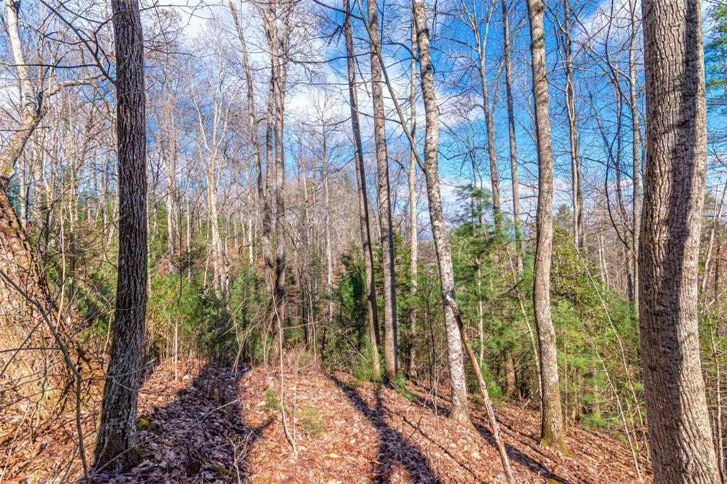 LOT 43 Dusty Danno Trail, Mineral Bluff, Georgia image 16