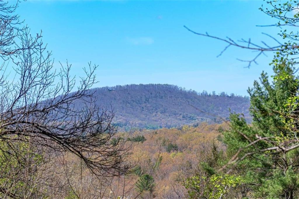 LOT 43 Dusty Danno Trail, Mineral Bluff, Georgia image 38