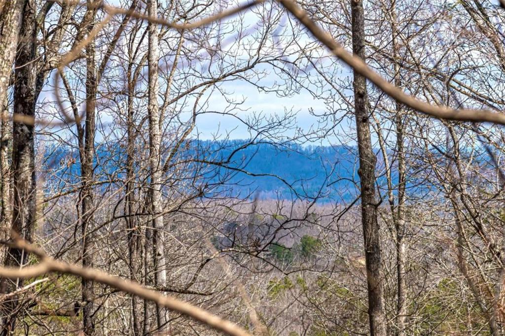 LOT 43 Dusty Danno Trail, Mineral Bluff, Georgia image 37