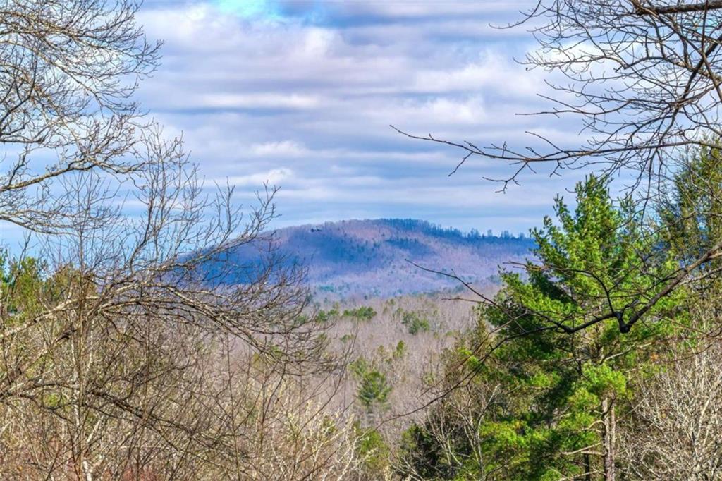 LOT 43 Dusty Danno Trail, Mineral Bluff, Georgia image 35