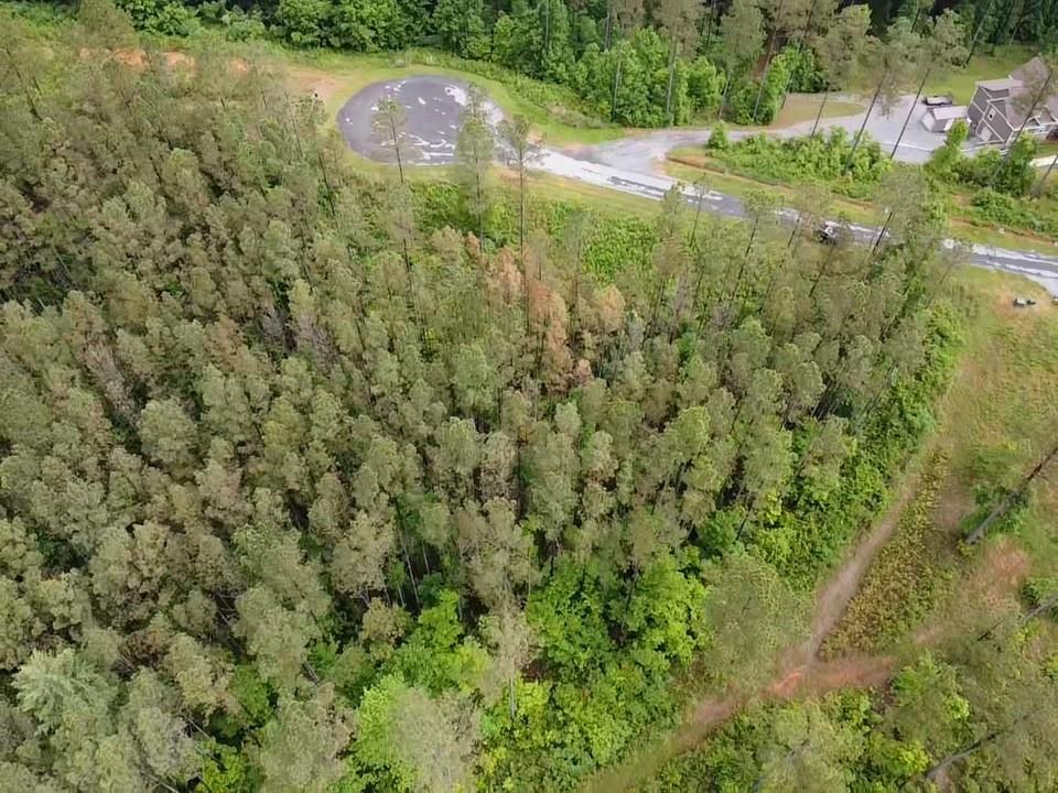 Lot 37 Pine Grove Lane, East Ellijay, Georgia image 6