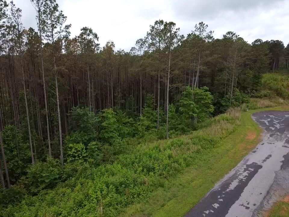Lot 37 Pine Grove Lane, East Ellijay, Georgia image 4
