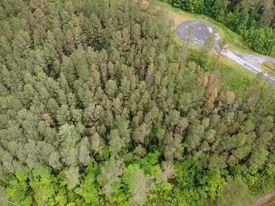 Lot 37 Pine Grove Lane, East Ellijay, Georgia image 15