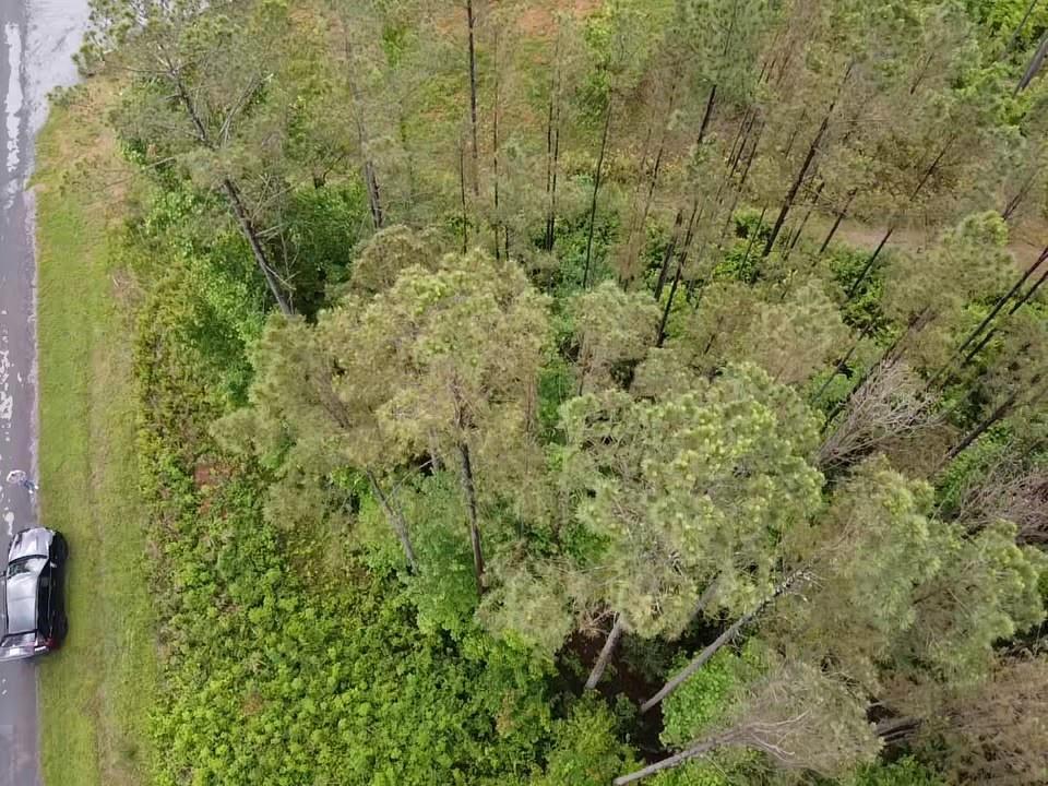 Lot 37 Pine Grove Lane, East Ellijay, Georgia image 3
