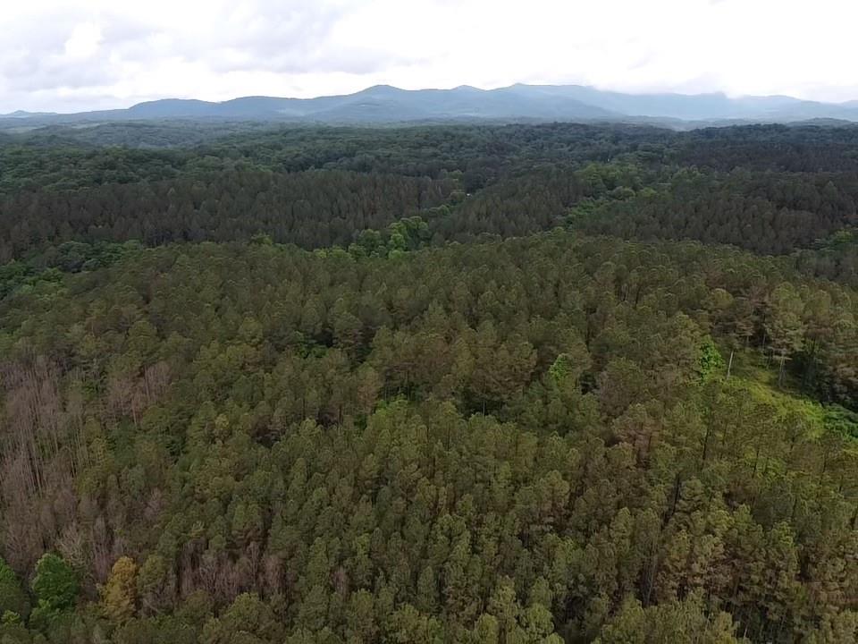 Lot 37 Pine Grove Lane, East Ellijay, Georgia image 16