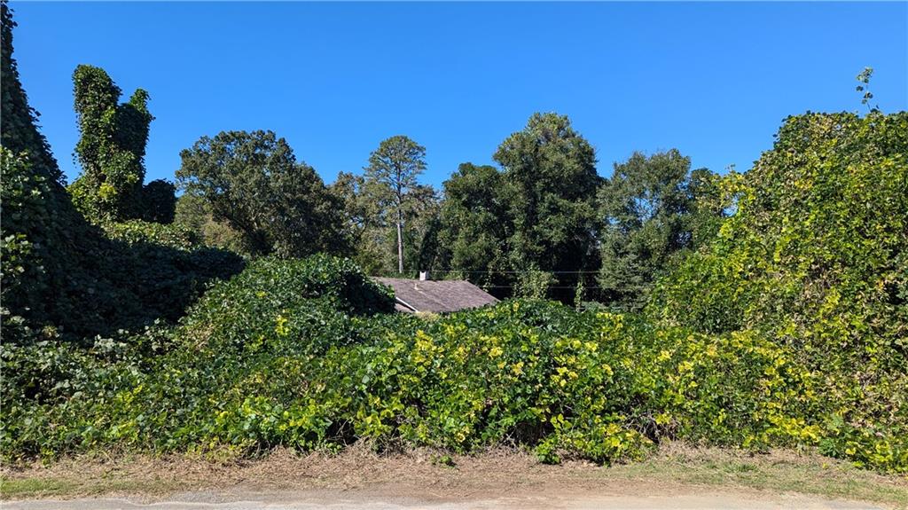 Clinic Road, Tate, Georgia image 1