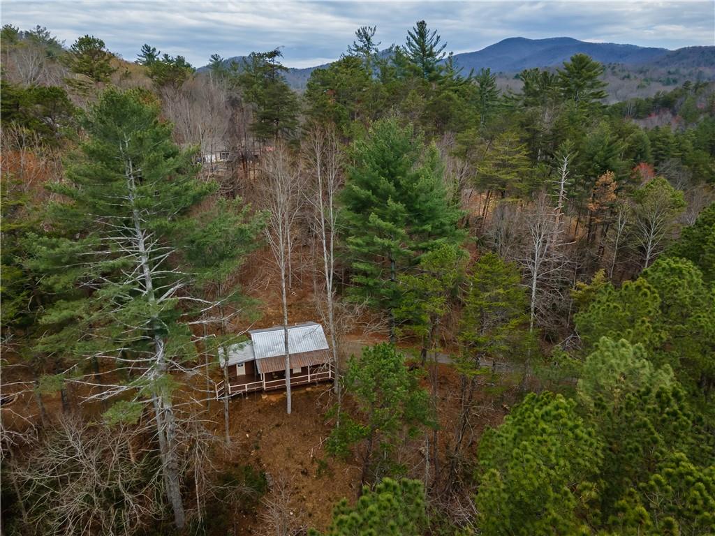 3185 Old Flat Branch Road, Ellijay, Georgia image 5