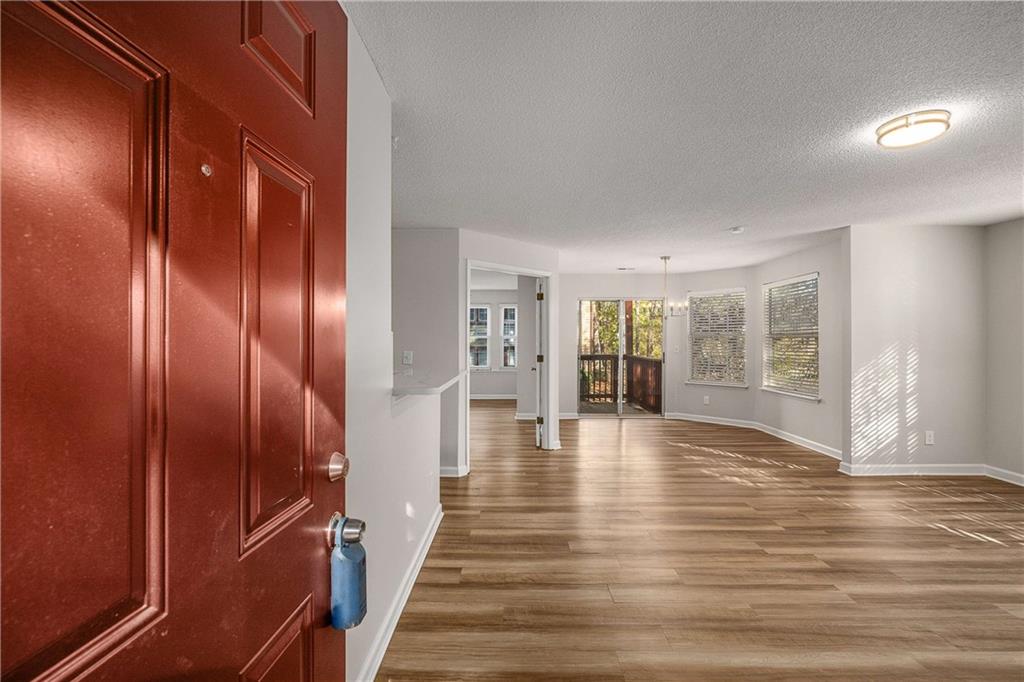 1019 Sandy Lane Drive