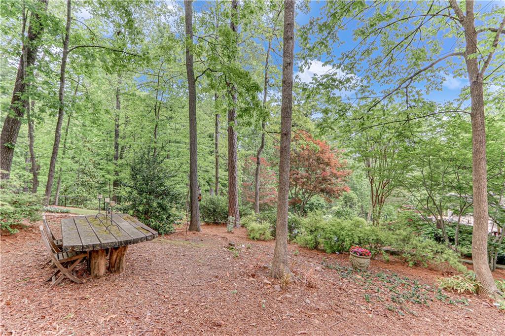420 Oakland Drive, Gainesville, Georgia image 42
