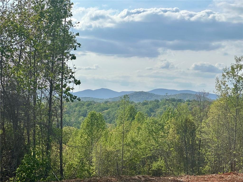 6.7 View Drive, Dahlonega, Georgia image 1