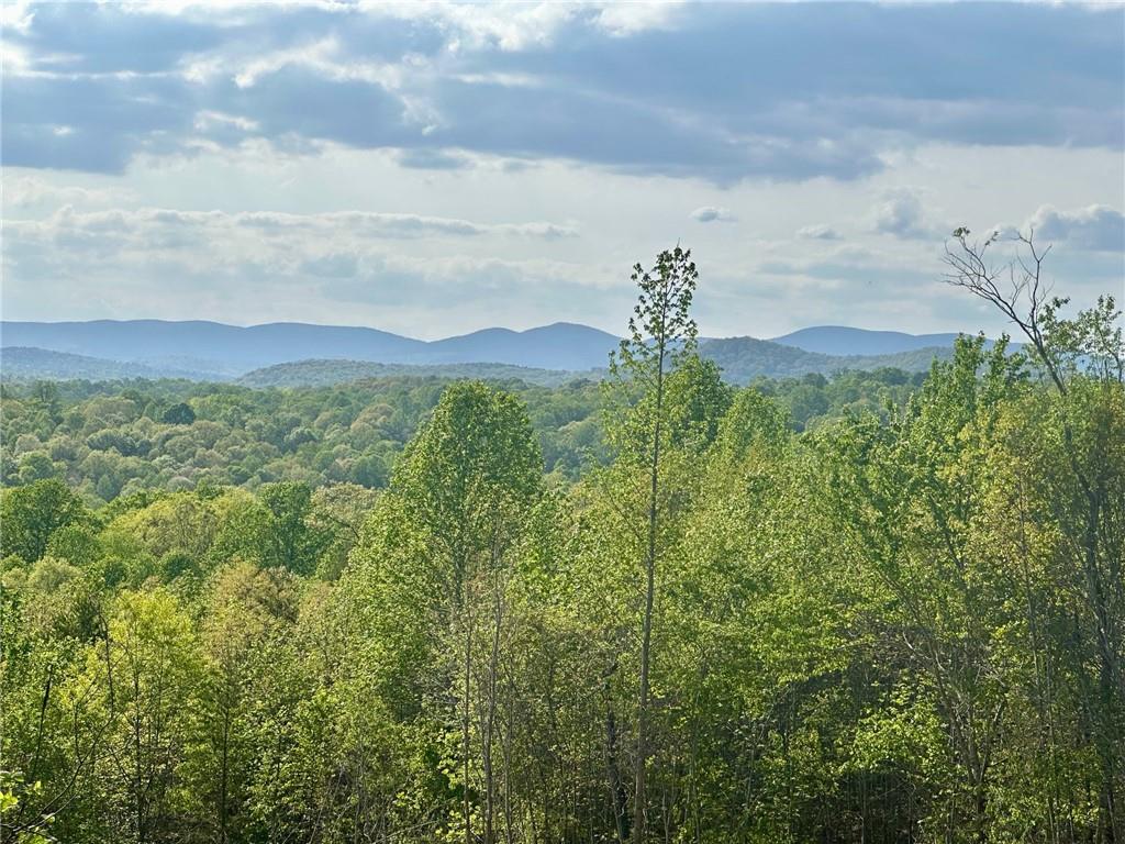 6.7 View Drive, Dahlonega, Georgia image 3