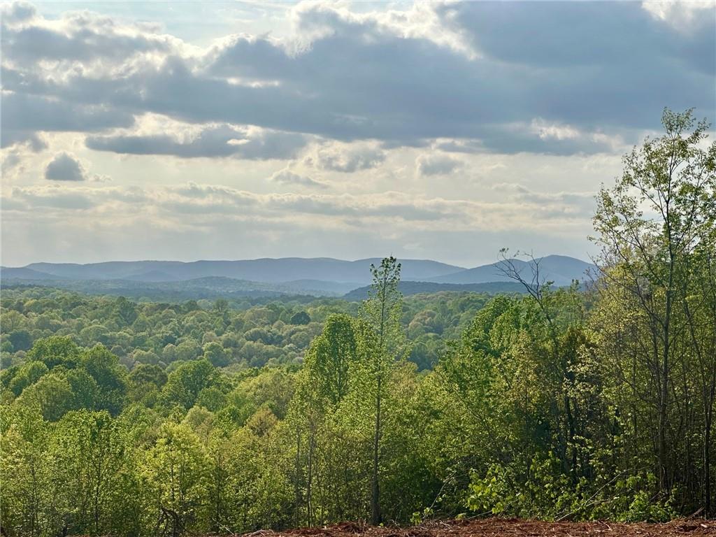6.7 View Drive, Dahlonega, Georgia image 4